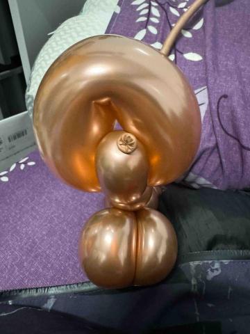 夢夢姐姐 - 各種造型 氣球 貴賓狗 老鼠 寶劍.兔子等等