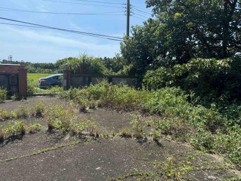 康康園藝工坊 - 三合院雜草清除前