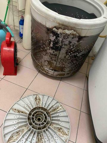 林信 - 洗衣機保養清洗