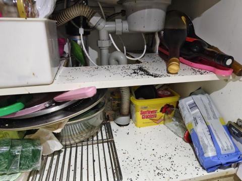 《速達通》水管包通\馬桶包通\各式水管堵塞 - 