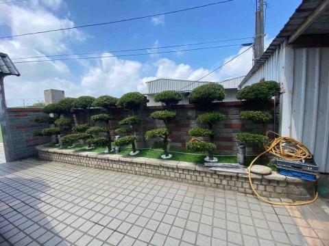 康康園藝工坊 - 鋪設人工草皮及碎石