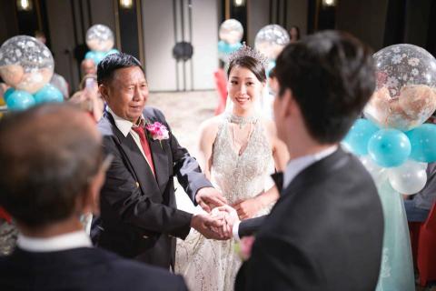 攝相豬 -  攝相豬 -