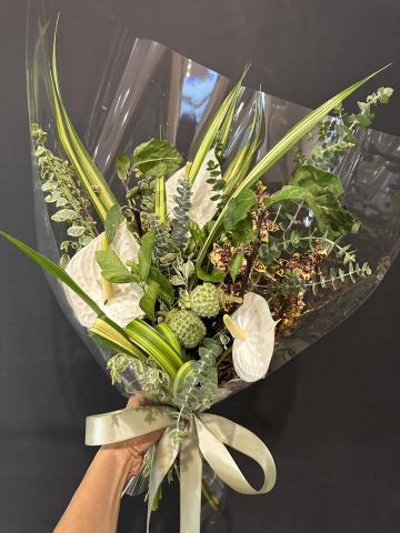 植感物語 -  植感物語 -