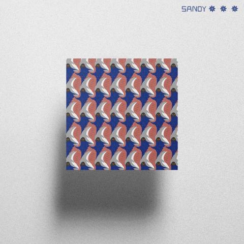 Sandy Fulva Studio - &bull;The Animal World (臺灣藍雀與海馬和海豚)
&bull;類別:插畫、圖形創作