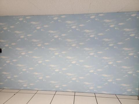 漢氏壁紙工程 - 