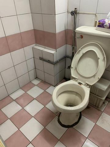 陳永峯 - 廁所清潔