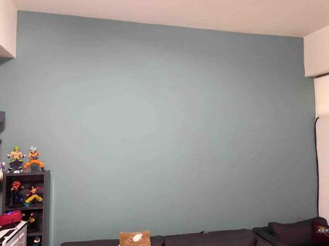 菲陽專業油漆工程 - 莫蘭蒂灰調色