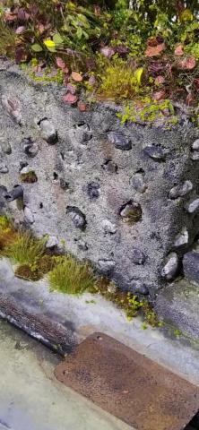 堤米 Timmy （&ldquo;創&rdquo;工作室） - 