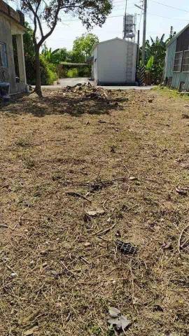 嚕咪工作室 - 代客割草服務，品質保證，完美無瑕