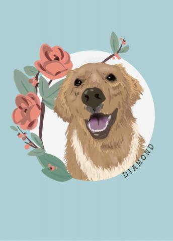 V illustration -  寵物似顏繪