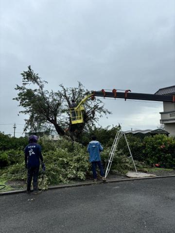 柏君園藝 -  柏君園藝 -