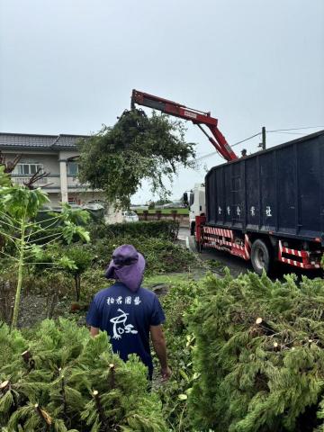 柏君園藝 -  柏君園藝 -