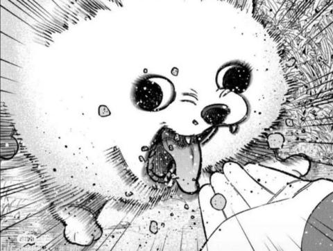 林承浩 林承浩