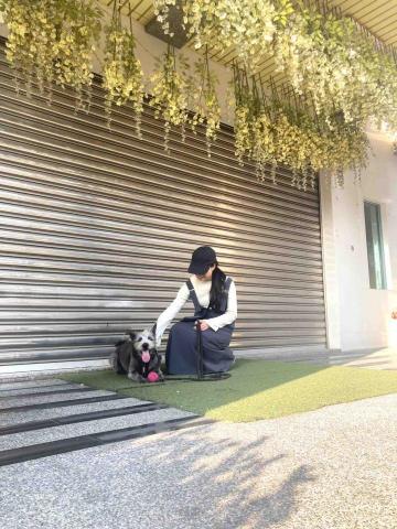楊雅婷 - 帶狗狗散步、玩球