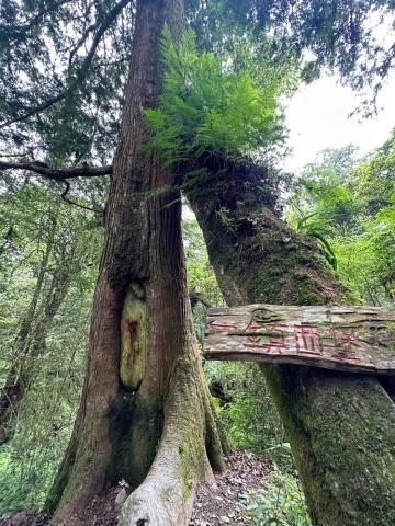 佑佑 - 新竹鎮西堡