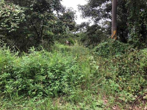 小巴個人工作室 - 施工前