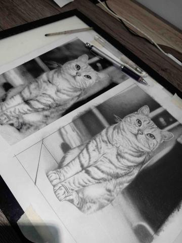 羅凱個人工作室 - 