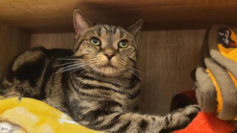 提供ui ux服務的專家LI YU