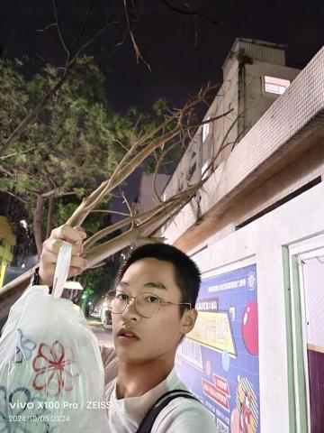 提供應徵服務的專家葉鎵安