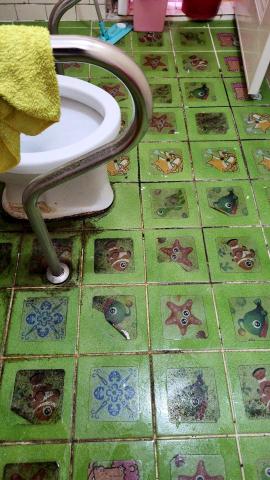 陳美安 - 廁所發霉清洗前