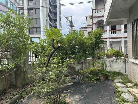 馥侑工程行 - 樹木修剪施工後