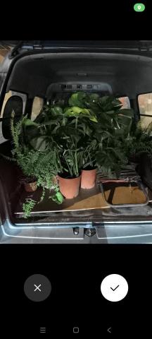 廂型車快遞 - 只要放的進車內的  皆可運送