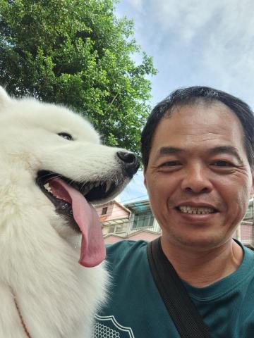 郭晉 - 客戶寄養薩摩耶犬