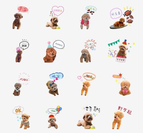 晨晨LINE客製貼圖 - 寵物貼圖