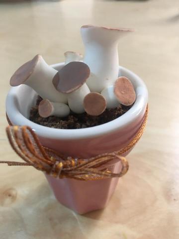 熊大藝術2 - 黏土-香菇