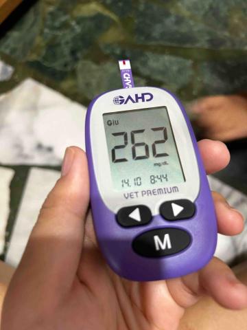 寵物陪伴 - 量血糖