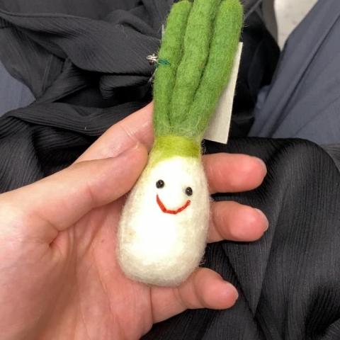 提供剪片apppc服務的專家渡邉笙太