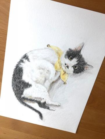 慕夏美術家教 - 