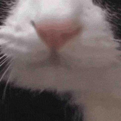 提供印章刷服務的專家均