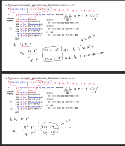 hahabanana歷程設計 - 生奧講義  遺傳學截圖