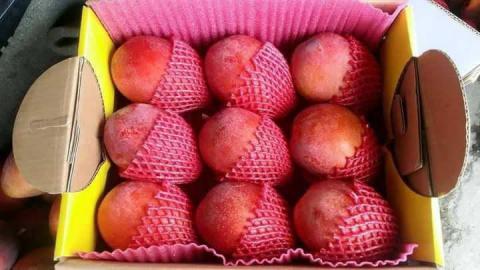 莫莫商業設計 - 