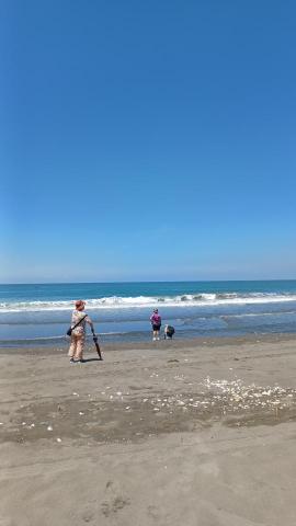 小郭包車旅遊 - 府城海岸 包車旅遊