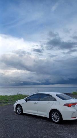 小郭包車旅遊 - Altis