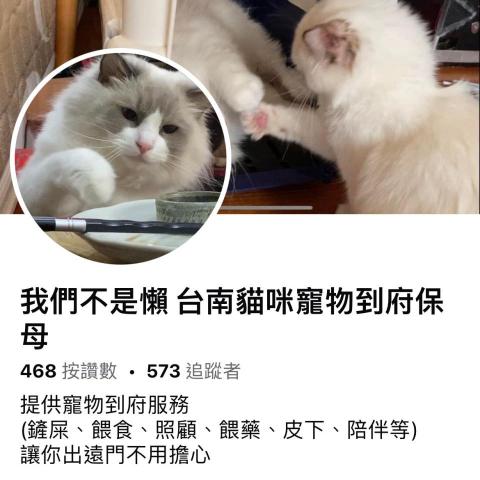 台南寵物保姆推薦我們不是懶 台南貓咪寵物到府保母