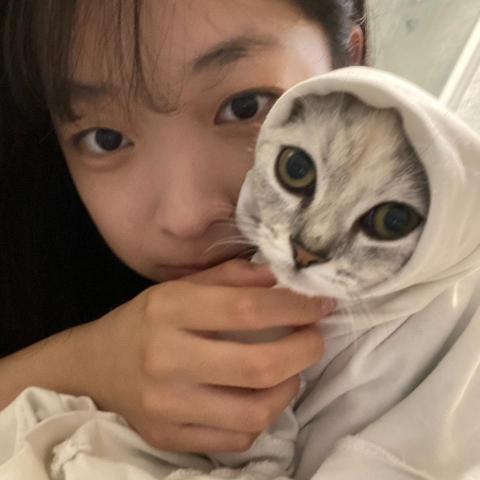 提供按讚攻擊服務的專家邱柏臻