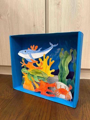 Ivy - 光影盒/國一