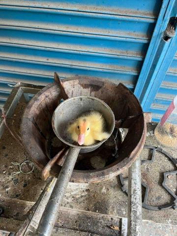 提供不老松台中服務的專家中部快打部隊