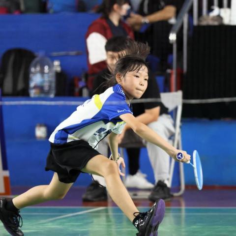 提供羽球規則服務的專家羽球