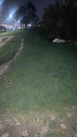 嚕咪代客割草 - 草皮養護