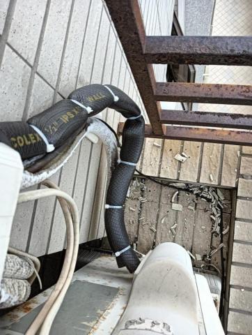 棕樹空調 - 被覆更新