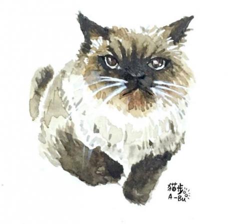 A-Bu無樂不作 - 毛孩繪製