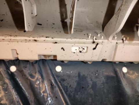 棕樹空調 - 清洗室內機