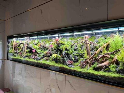 易樂企業社@uyL9696f - 協力廠商  生態缸 噴霧規劃