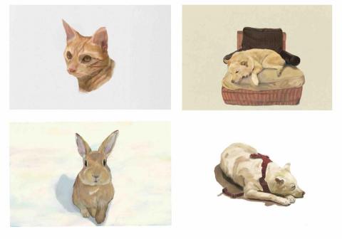 林芸竹 - 寵物插畫