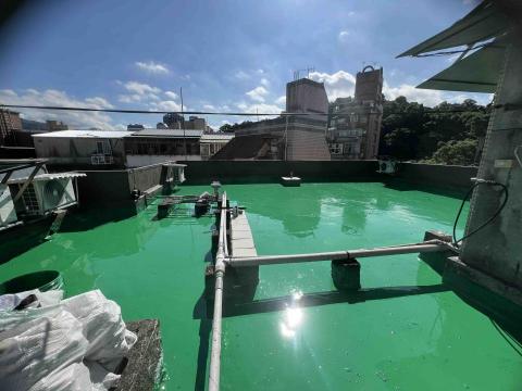 鋐展工程行 - 公寓頂樓防水翻修