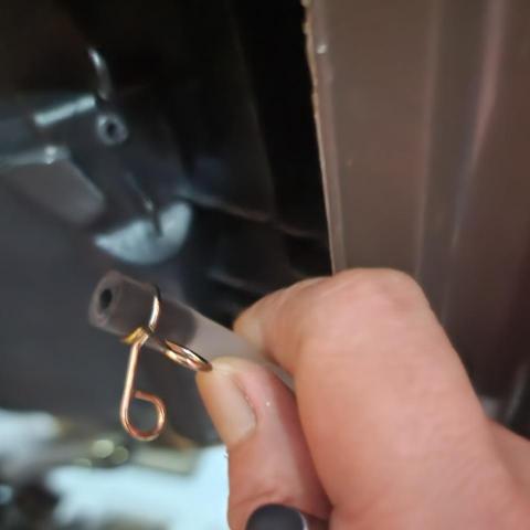 提供斷食法服務的專家施孋濃